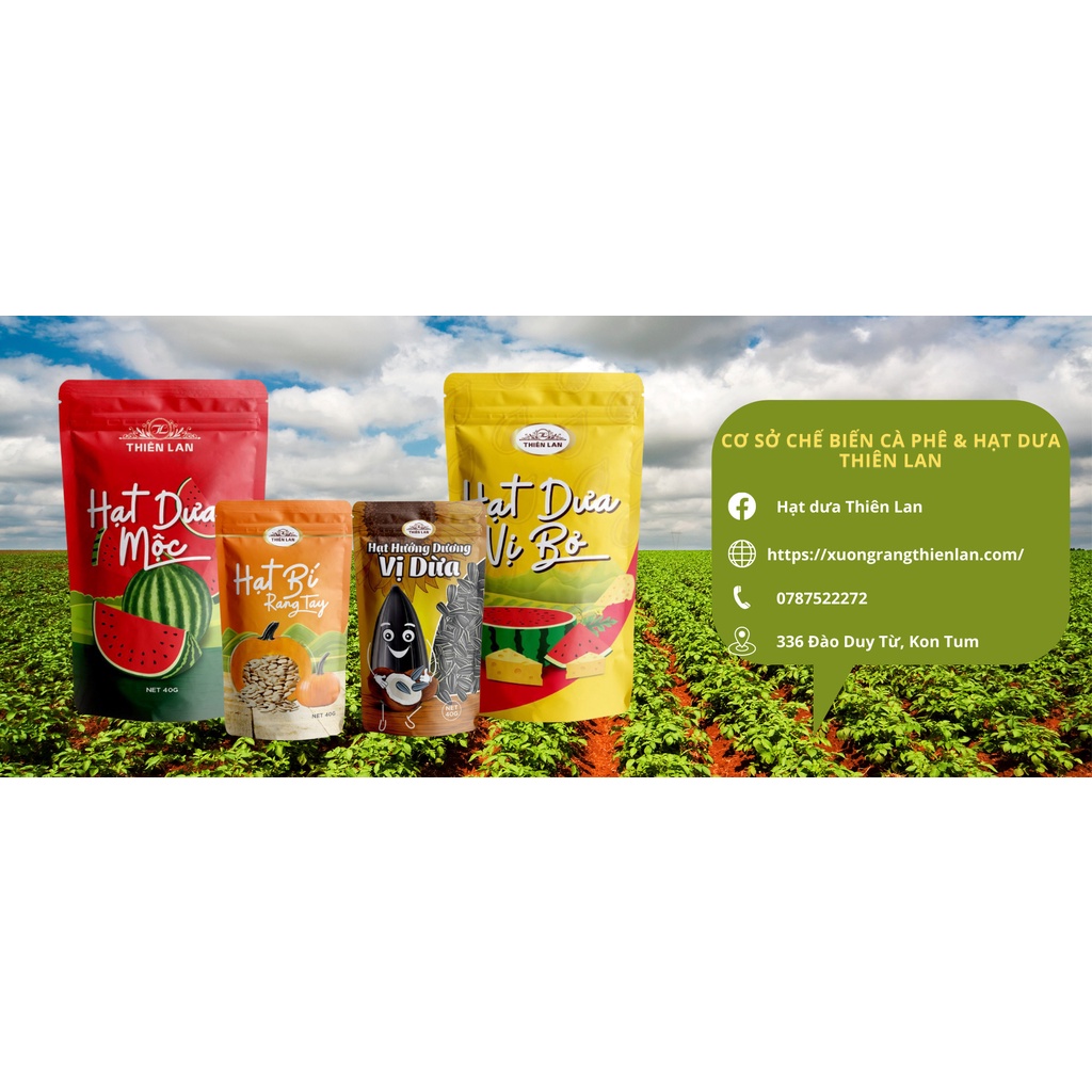 Hạt hướng dương Thiên Lan vị dừa