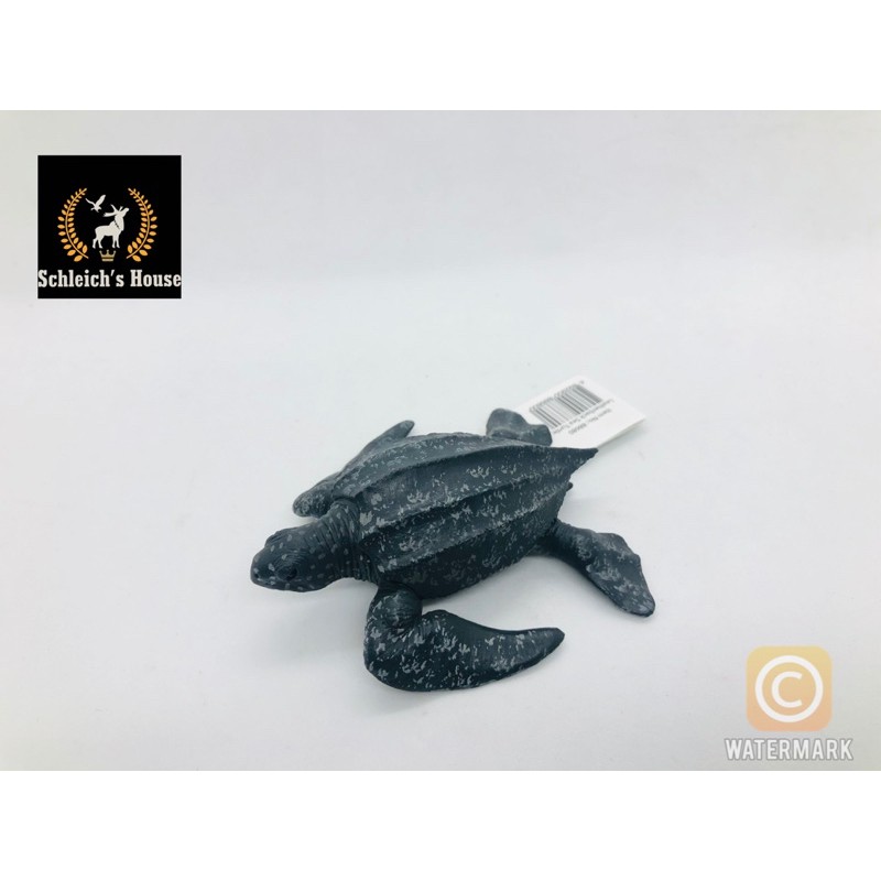 Mô hình động vật , đồ chơi con vật CollectA chính hãng Rùa da 88680 - Schleich House