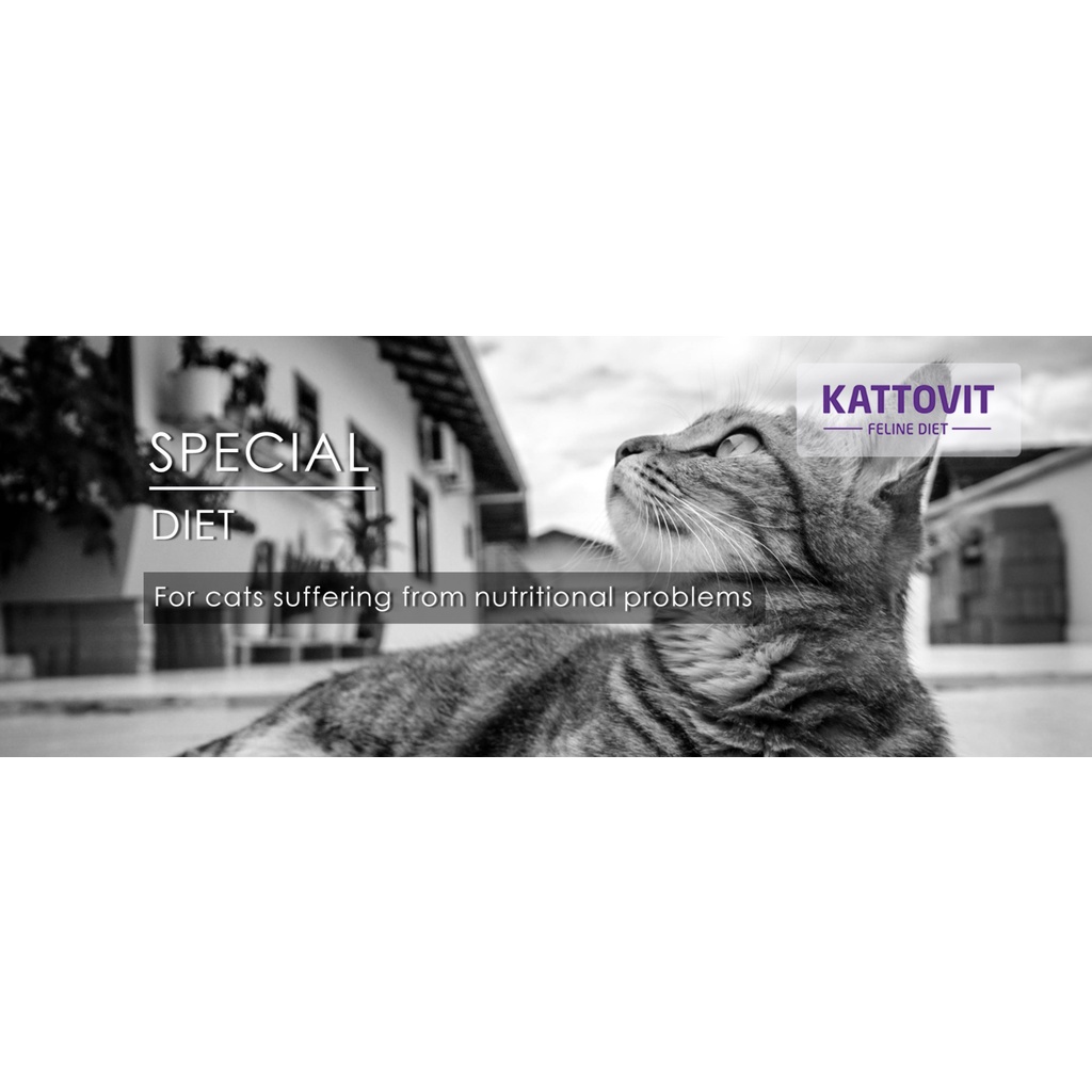 Súp thưởng Kattovit Urinary cho Mèo sỏi thận, tiết niệu vị Gà Súp thưởng dạng kem - Kattovit Special Cream Urinary Cats