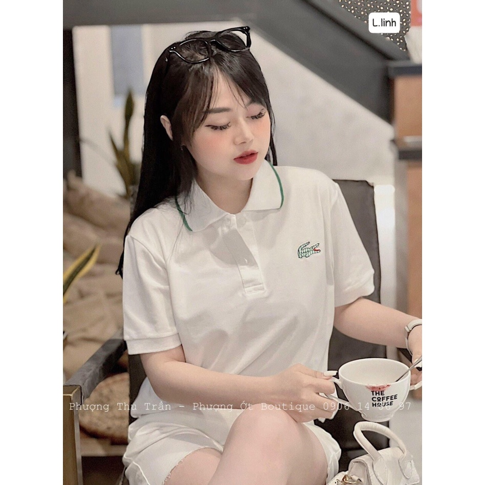 Áo polo nữ trắng cổ viền xanh logo thêu cá sấu