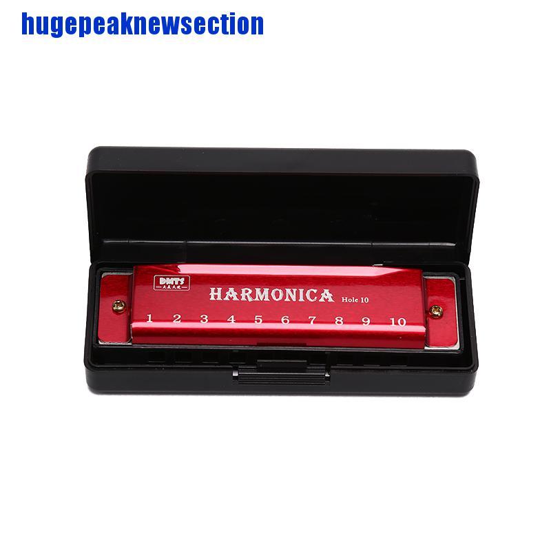 Kèn Harmonica 10 Lỗ Cho Người Mới Bắt Đầu Học