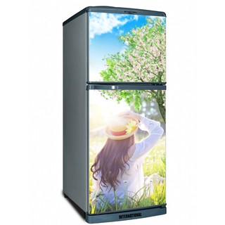 DECAL DÁN TỦ LẠNH MẪU TỦ DƯỚI 1M3