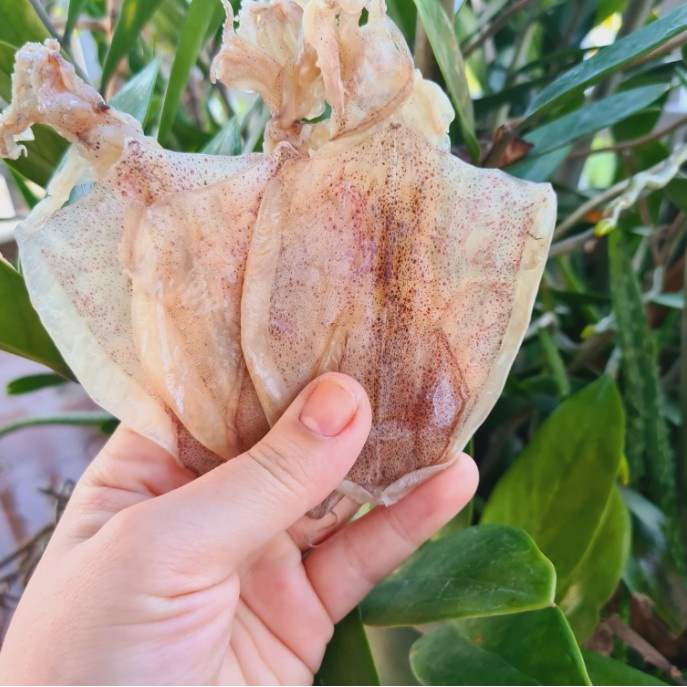 500Gr Khô Mực Rối (size 130 - 150 con 1kg) - Đặc Sản Thịnh Long JoJo Seafood