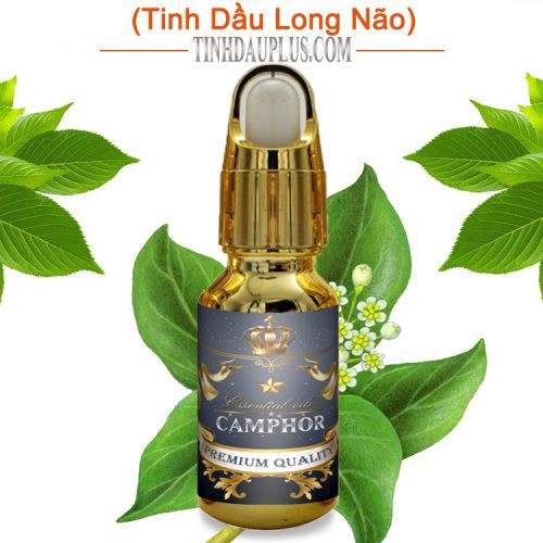 Tinh dầu long não plus 20ml – Camphor EO nguyên chất thiên nhiên Ấn Độ – Đuổi côn trùng, diệt khuẩn
