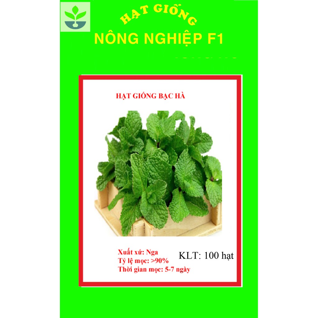 Gói 100 hạt giống bạc hà