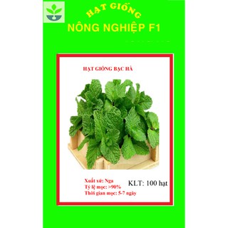 Gói 100 hạt giống bạc hà