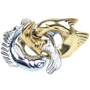 Đồ chơi trí tuệ_Thử thách trí não_Cá và Cá (V1) - Hanayama Puzzle_Rèn luyện_IQ Test_Giải đố_Tư duy Thông minh Logic