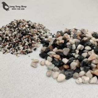 Sỏi ba màu tự nhiên ( chọn size )