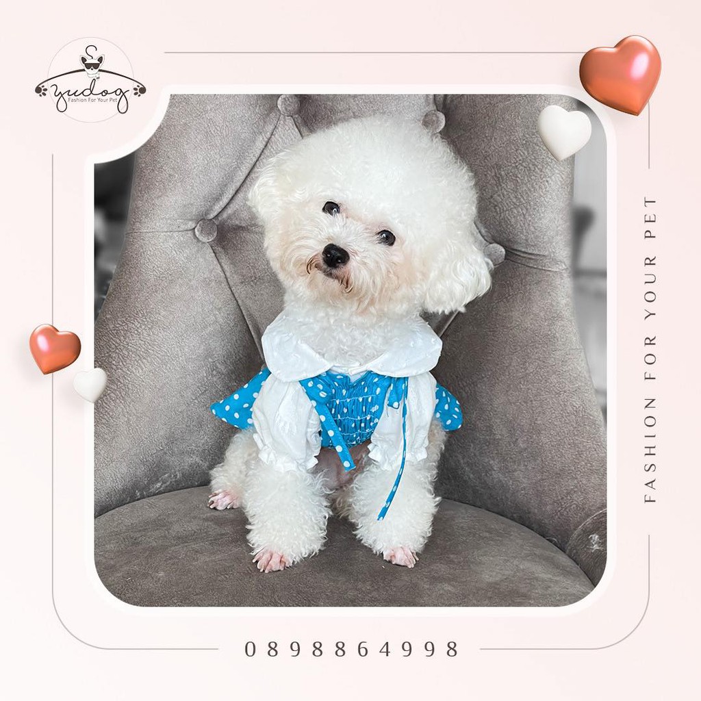 Set đầm dây bi cho thú cưng chó mèo yudog