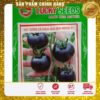 Hạt Giống Cà Chua Đen(15-20 hạt)
