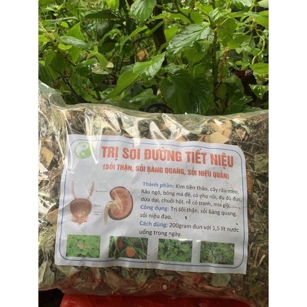 1kg Lá sỏi thận, sỏi mật, sỏi bàng quang, sỏi niệu quản