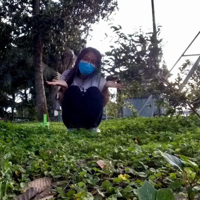 buithaotqt