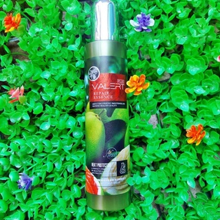 Xịt dưỡng tóc bưởi ngăn rụng tóc Xịt dưỡng tóc tinh dầu bưởi Valert Repair Essence Plus 220ml