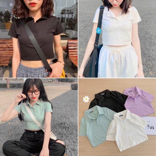 Áo Croptop cổ POLO nữ 4 màu chất thun cotton