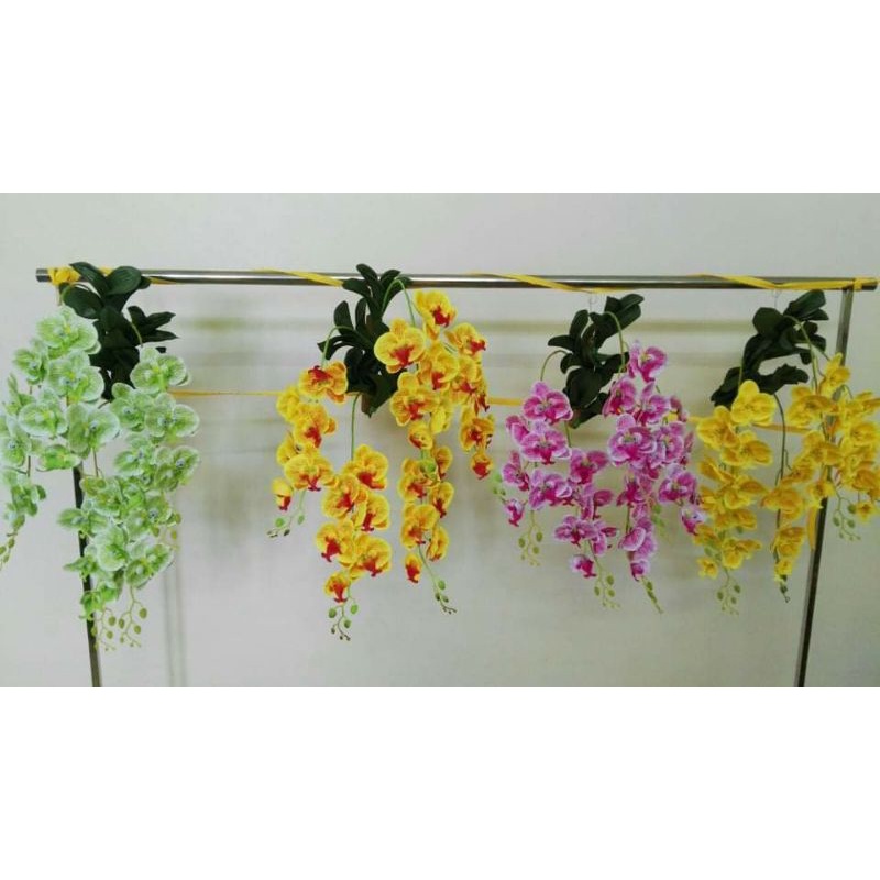 Giò lan hồ điệp_hoa lan giả