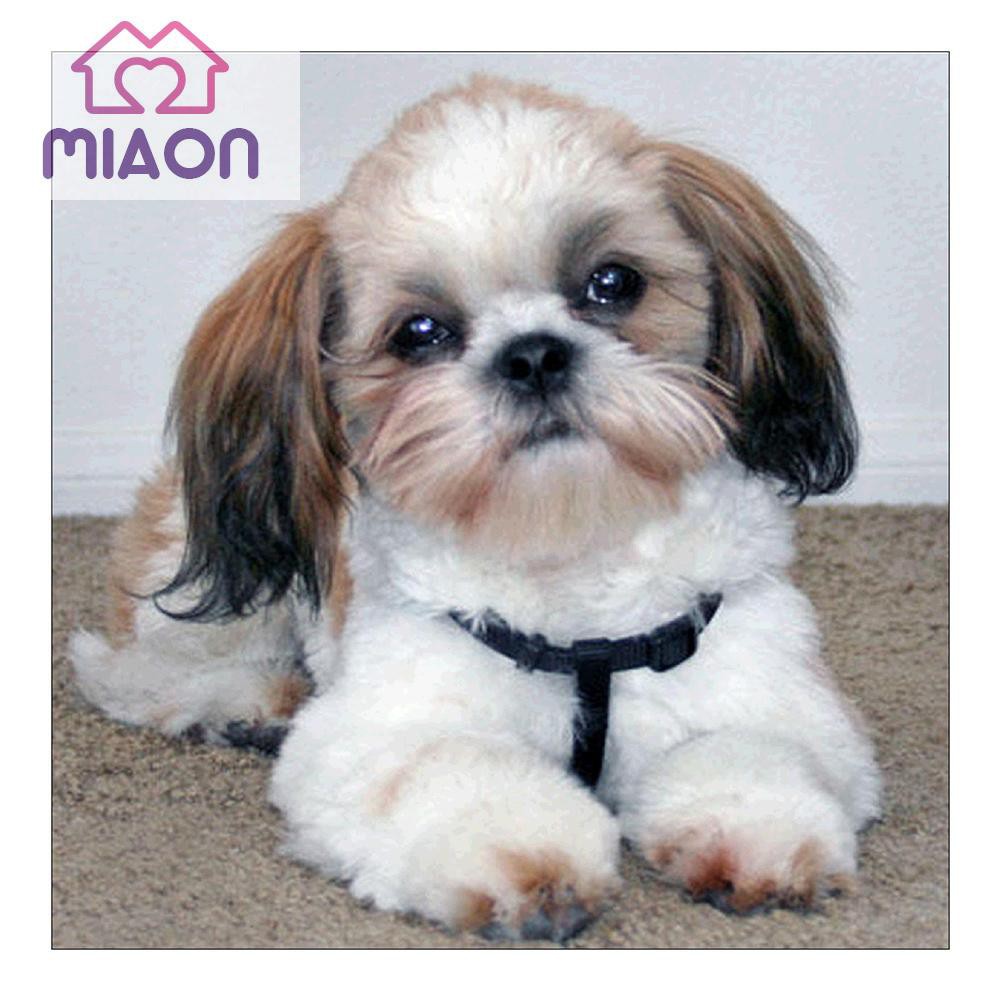 Bộ 10 Tranh Đính Đá 5d Hình Chú Chó Đáng Yêu