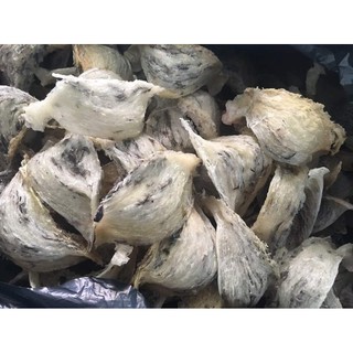 Yến thô nhà nuôi