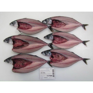 Cá Saba Nhật. 55.000/Kg. Giao hoả tốc HCM
