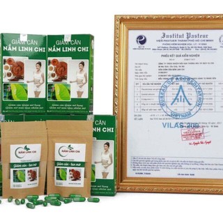 Giảm cân nấm linh chi