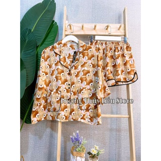 SET BỘ ĐÙI CÁNH DƠI 2CE SIÊU CƯNG