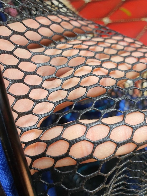 Rọng đựng cá siêu bền siêu đẹp y hình giá rẻ