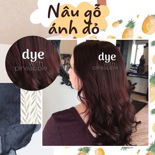 Dyewithpine - Thuốc nhuộm tóc Nâu Gỗ siêu mềm mượt