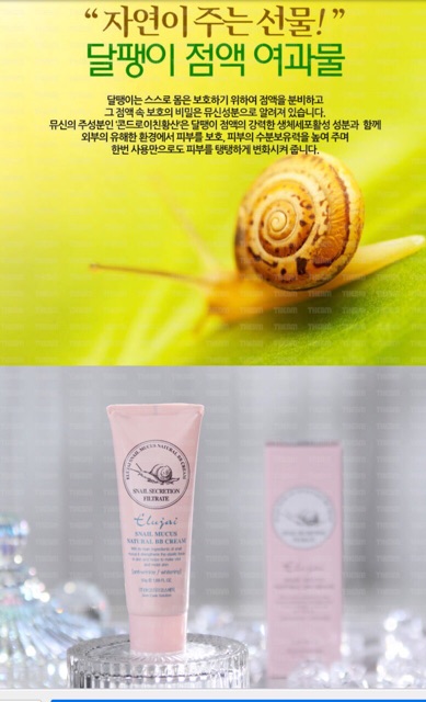 Kem Trang Điểm Ốc Sên Elujai Snail Mucus Natural BB Cream