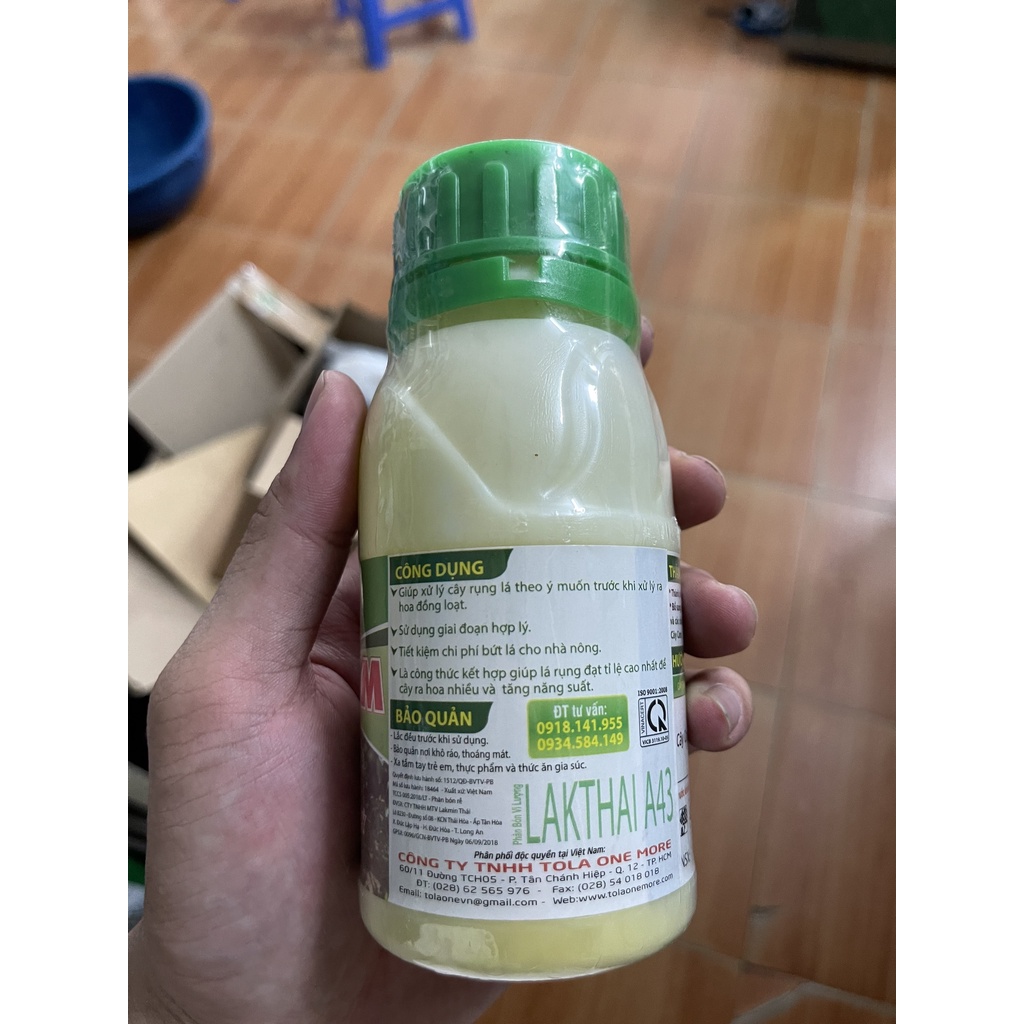 MORE - PHÁ LÁ CAM, LÁ CHANH