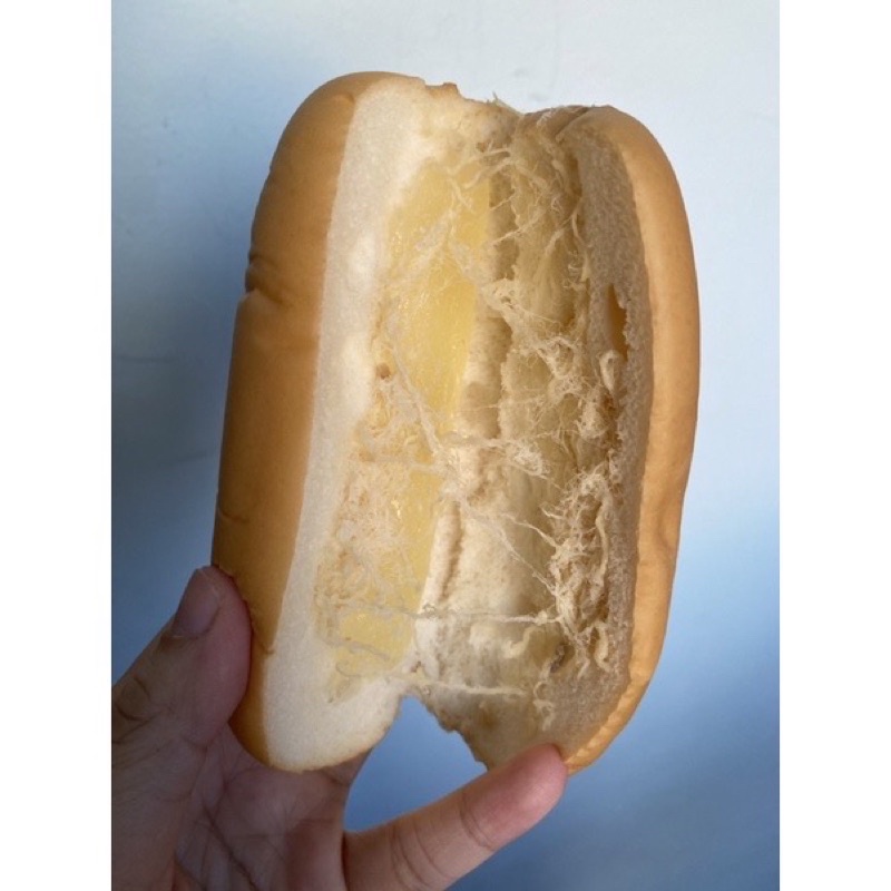 COMBO 10 CÁI BÁNH MÌ TƯƠI CHÀ BÔNG HEO/GÀ CAO LỢI HƯNG HSD:9-12 Ngày