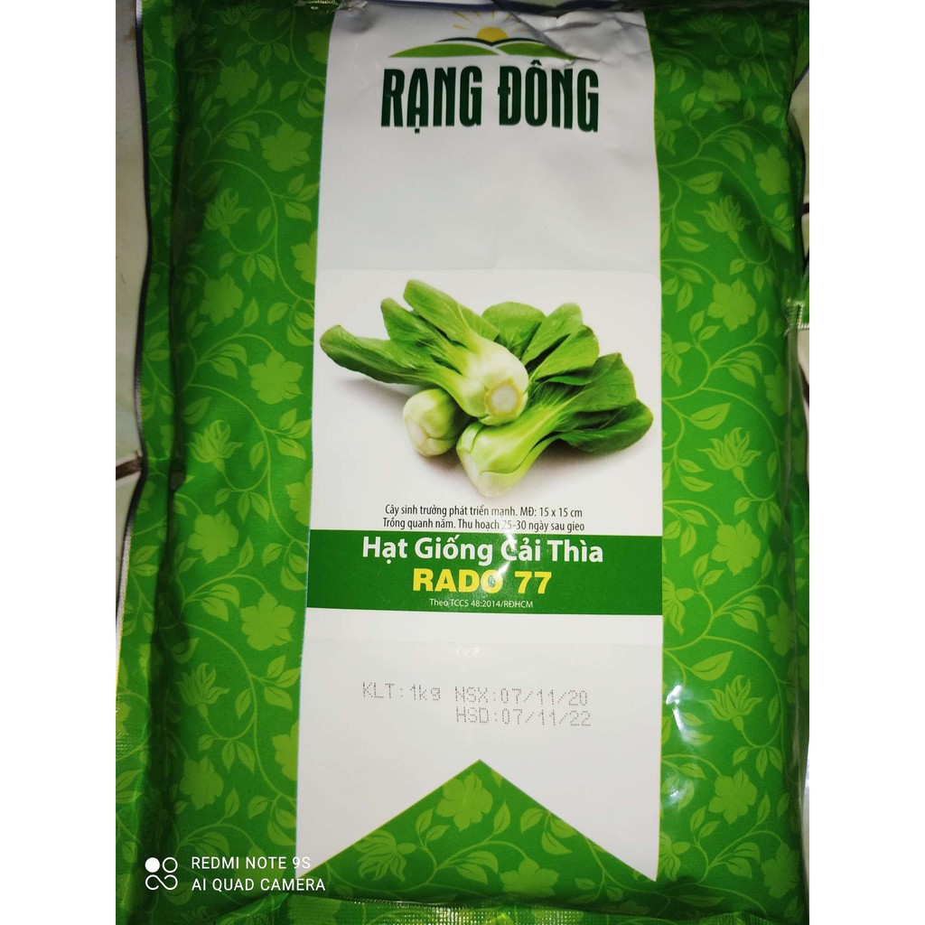 1Kg Hạt Giống Cải Thìa Chịu Nhiệt Bẹ Lớn