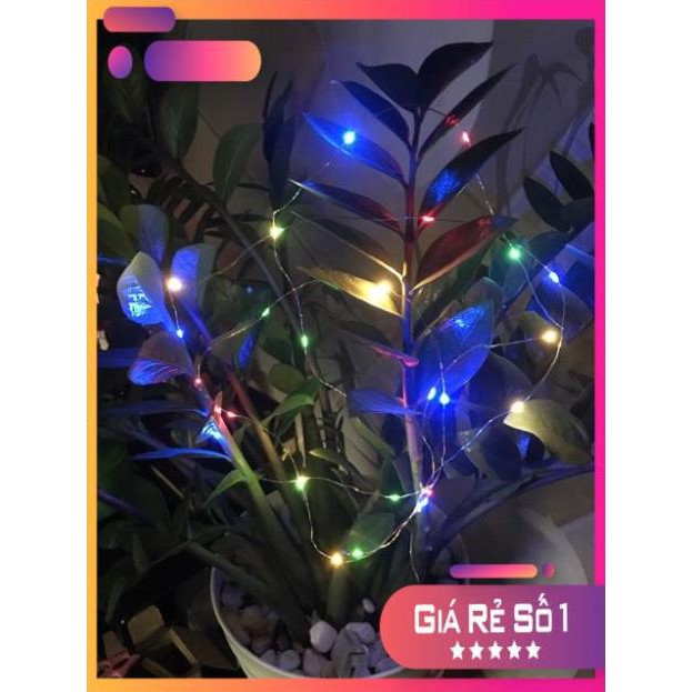 Dây led đom đóm nhiều mầu 1,5v tặng kèm bóng galasi