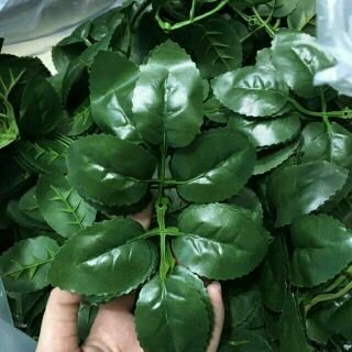 HyHy - 1 lạng lá hoa hồng giả