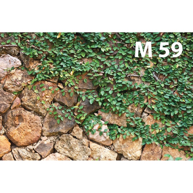 Vải nền chụp ảnh M59