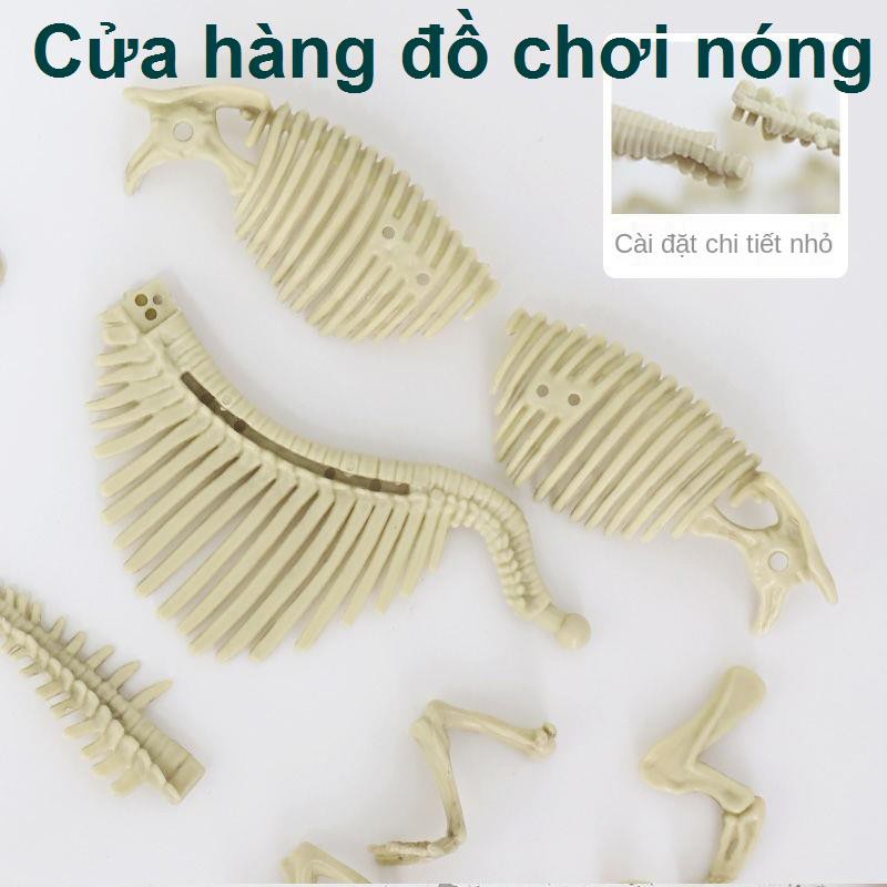 đồ chơi khai quật hóa thạch khủng long khai quật khảo cổ mô hình lắp ráp bộ xương khủng long khủng long bạo chúa tự làm