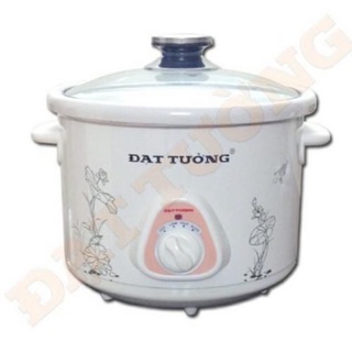 Nồi điện kho cá, thịt hầm cháo chậm 2.5L, lõi sứ rời, Hàng chính hãng Đạt Tường
