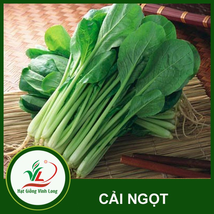 Hạt giống rau Cải ngọt Trang Nông - 100g