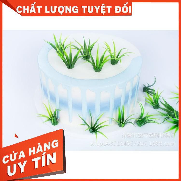 Bộ 10 cây cỏ