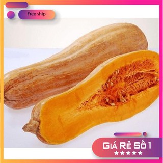 Hạt giống Bí đỏ dài (Bí sáp) (5g)