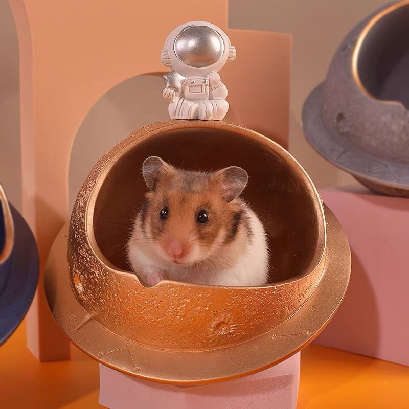 nhà ngủ hành tinh phi hành gia cho hamster