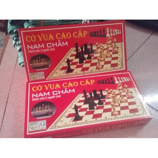 Bộ cờ vua nam châm