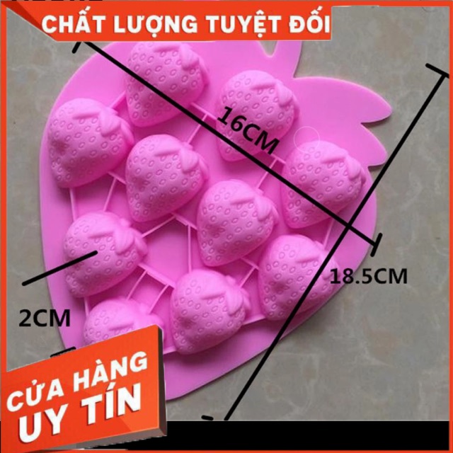 Khuôn rau câu silicon 4D Quả dâu Mã AH1H7K