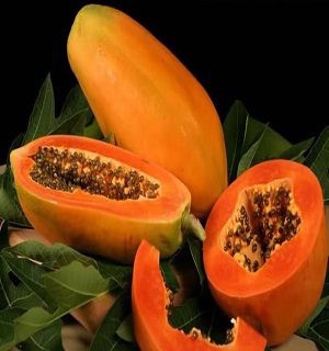 Hạt giống Đu đủ lùn ruột gấc