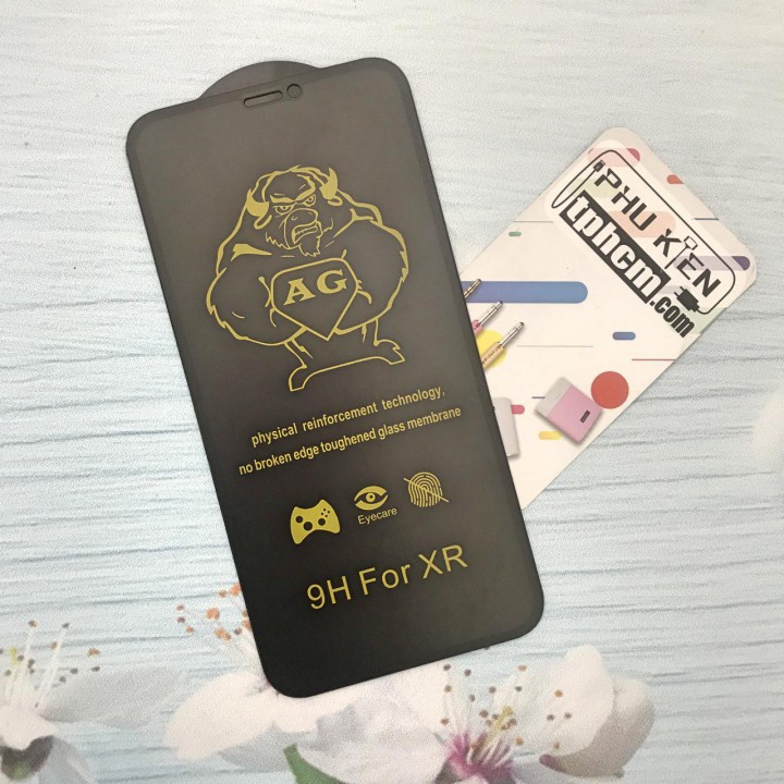 Dán cường lực Nhám Full màn hình iPhone XR - iPhone 11
