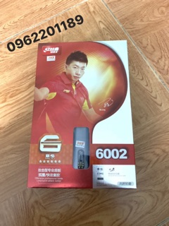 Vợt bóng bàn DHS 6002