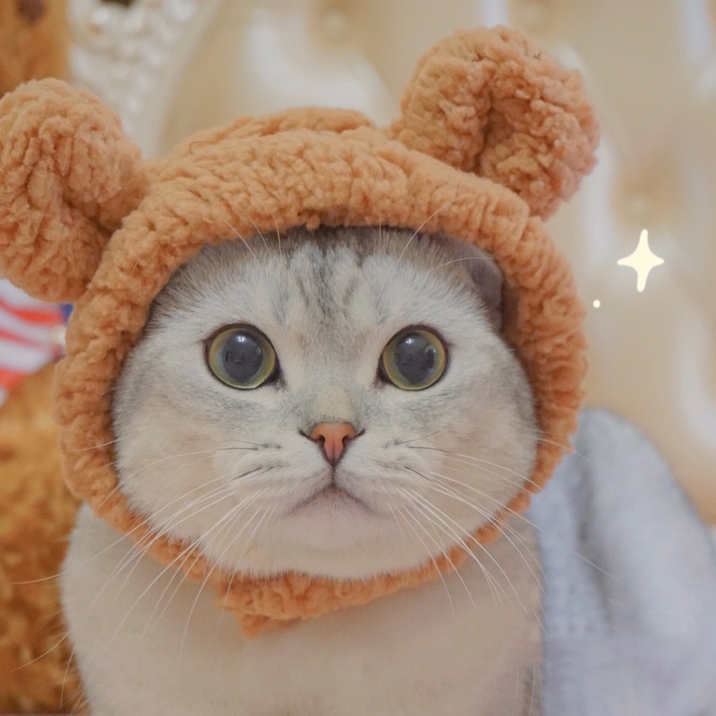 [Giá ưu đãi] Mũ bông tai gấu cosplay dễ thương cho chó mèo trưởng thành, cực nhiều feedback