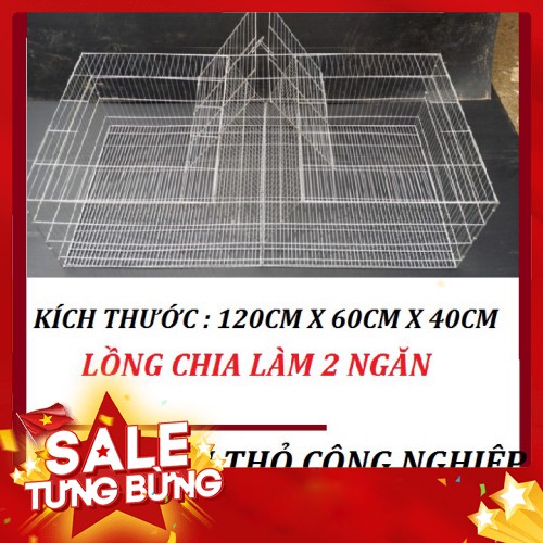 Lồng nuôi thỏ công nghiệp - Lồng nuôi thỏ sinh sản 2 ô