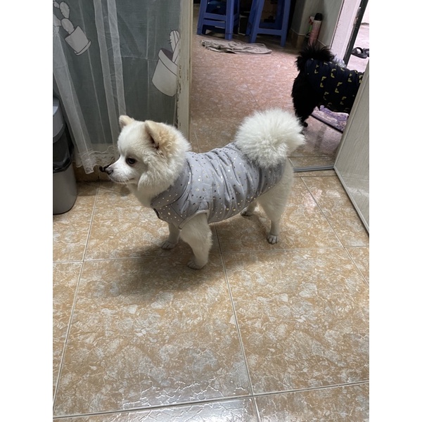 Áo phao lót nỉ cho thú cưng, áo mùa đông cho chó mèo