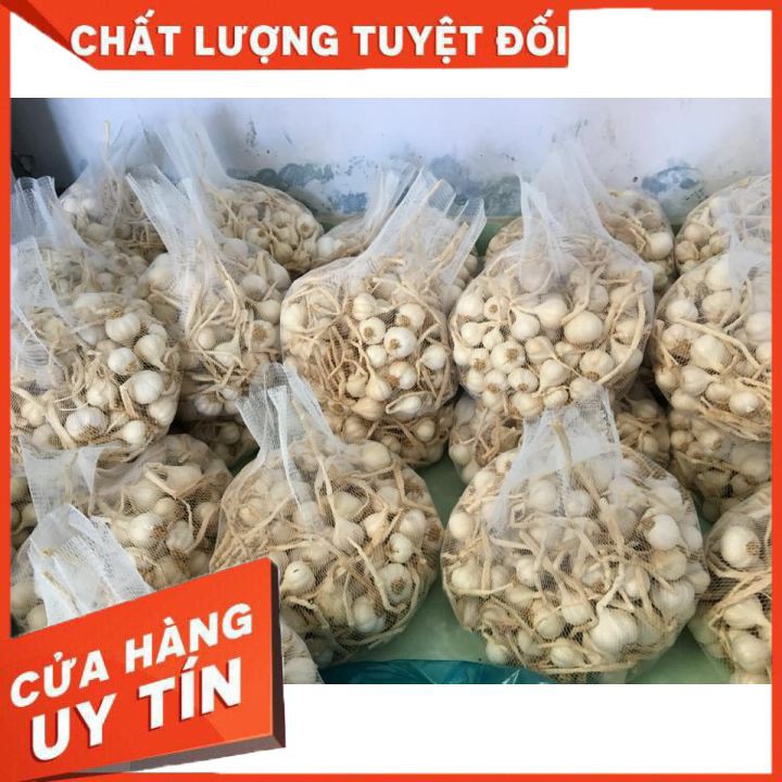 Combo 1kg hành + 1kg tỏi lý sơn chỉ 110k | BigBuy360 - bigbuy360.vn