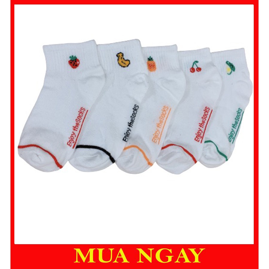 Vớ tất nữ trái cây hàn quốc cực đẹp TN54