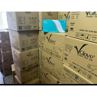 Găng tay y tế có bột VGLOVE